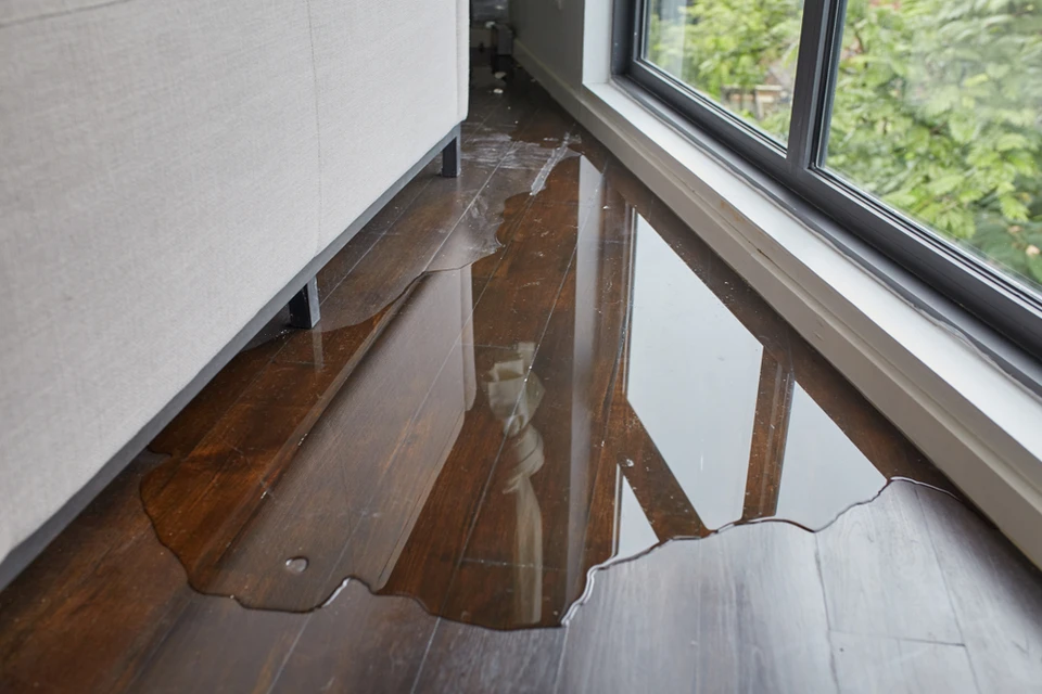 Intérieur résidentiel avec dégât des eaux important sur parquet stratifié